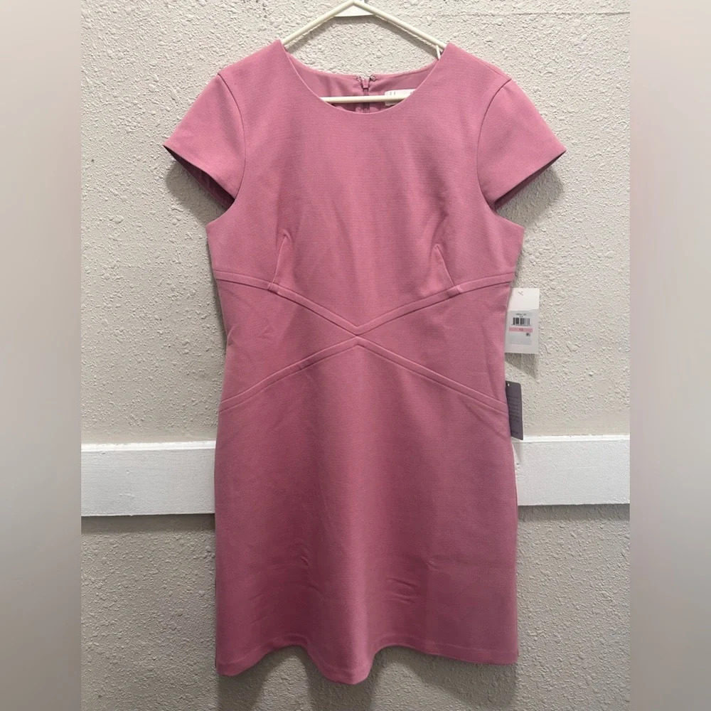 Harper Rose Blush Sheath Dress NWT Size 10